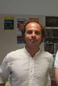 Marino Attilio
